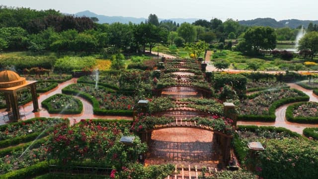 푸른 나무가 보이는 아름다운 수목원