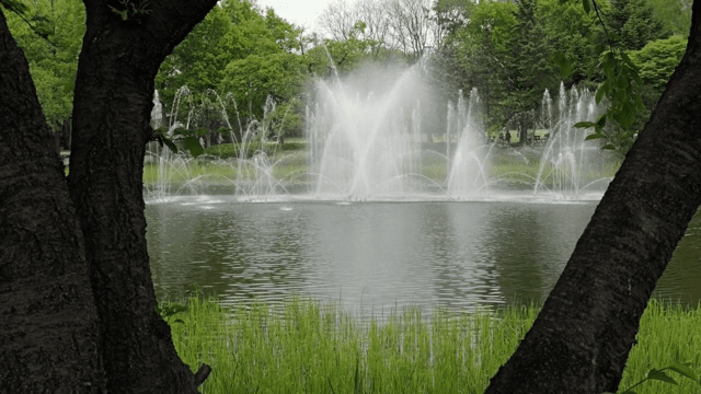 호수에 분수가 있는 고요한 공원