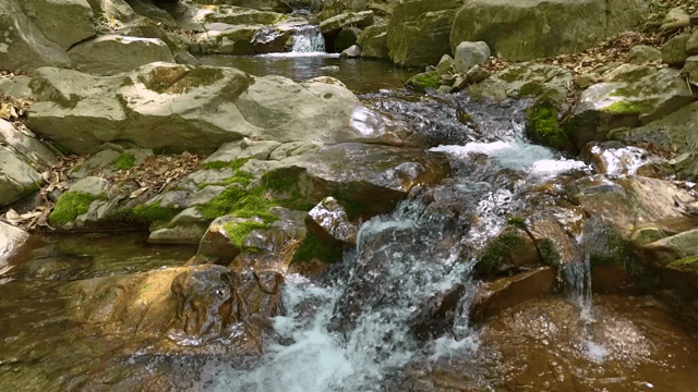 Serene stream flowing over mossy rocks