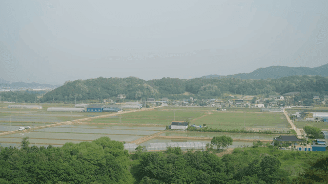 Peaceful rural landscapes and fields