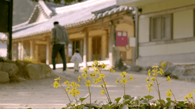 Father and child go to traditional Korean house in full bloom.