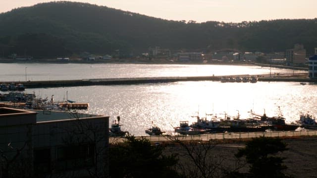 Sparkling sea and port at sunset