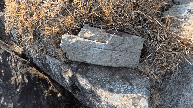 Rocky terrain with dry grass