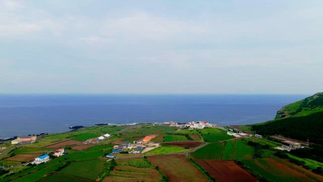 Coastal village surrounded by green fields