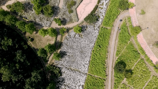 길이 있는 푸른 공원의 항공 뷰