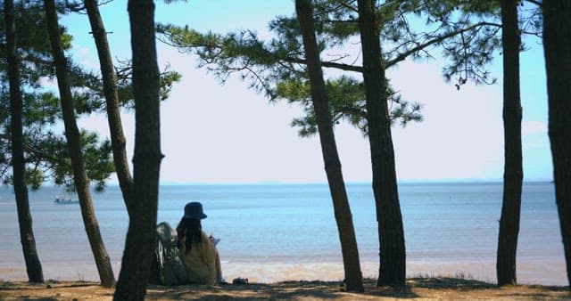 Woman Resting Leisurely in the Pine Forest by the Beach