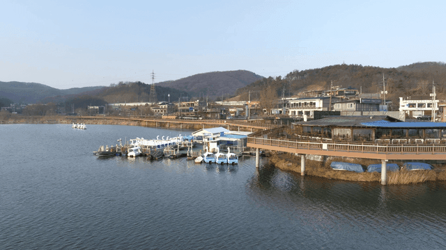 Peaceful lakeside with swan boats.