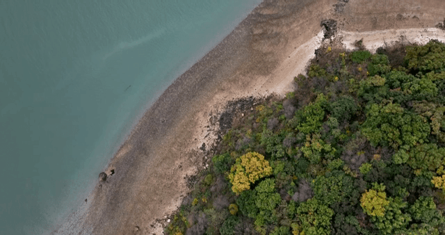 숲이 우거진 해안선의 항공 뷰