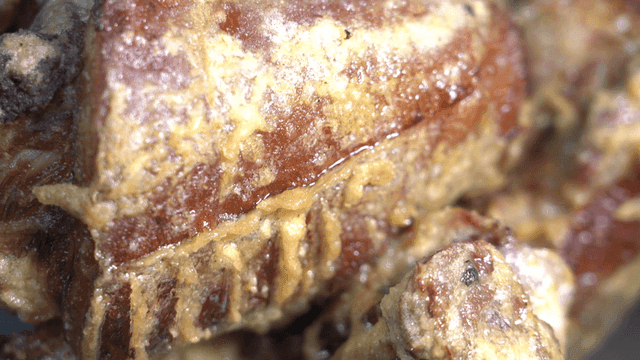 Close-up of freshly fried, sizzling pig's trotters