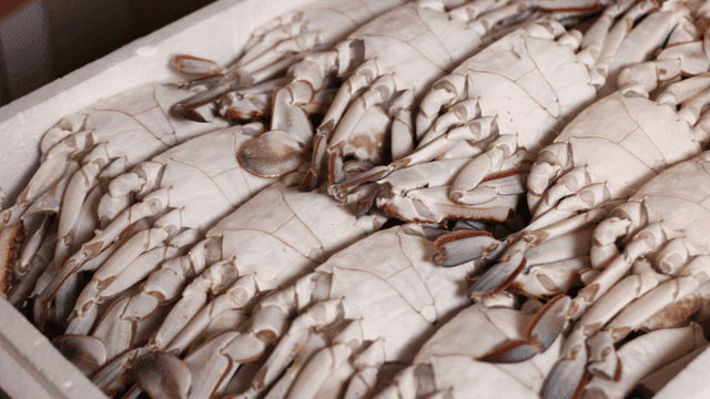 Crabs neatly arranged in box