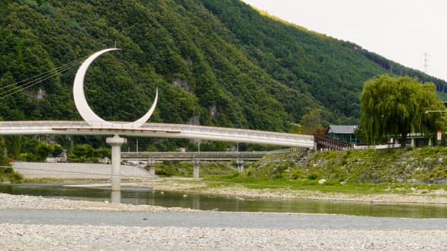 Bridge with a unique curved design by a serene river in a lush green forest