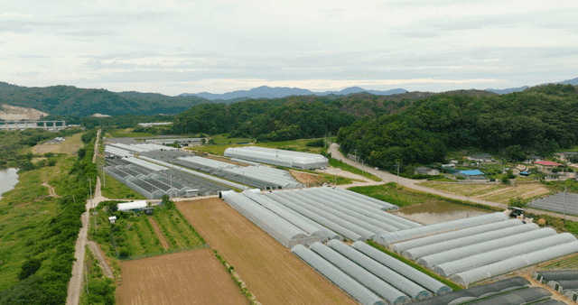 농촌 풍경 속의 넓은 온실