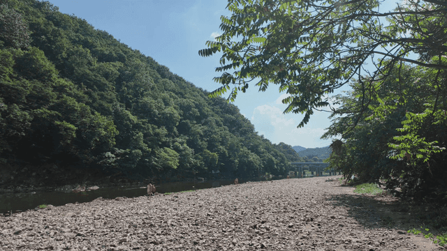 푸른 언덕이 있는 고요한 강변