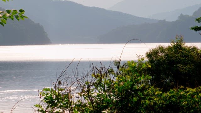 Scenic view of a lake surrounded by lush greenery and mountains in the sunlight