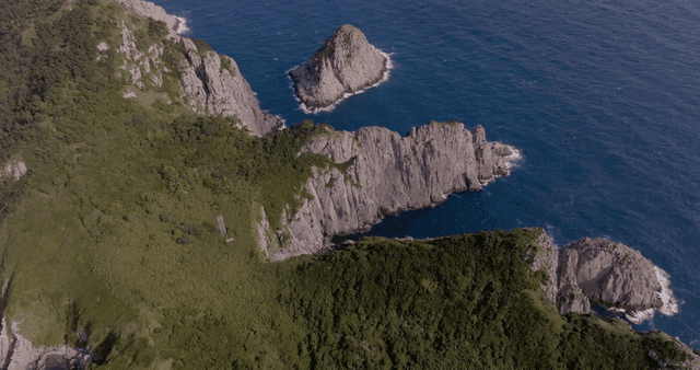 A majestic coastal cliff with lush greenery