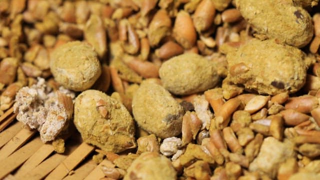 메주를 만들기 위해 발효 중인 콩