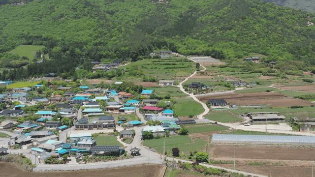 녹색 들판에 둘러싸인 시골 마을