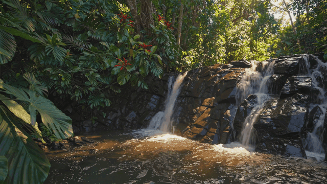 Quiet waterfall in lush green forest.