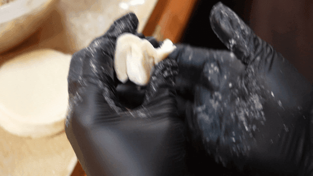 Hands making dumplings with black gloves