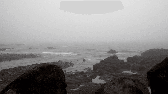 Foggy rocky shoreline with gentle waves