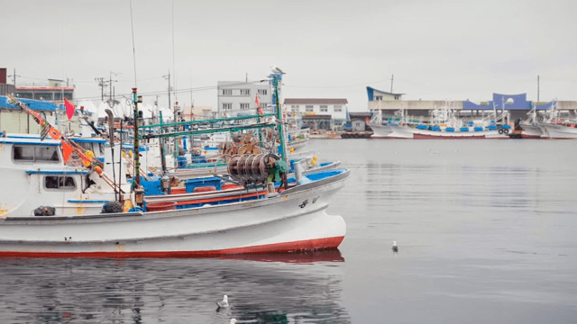 Fishing boats and seagulls anchored in a quiet harbor