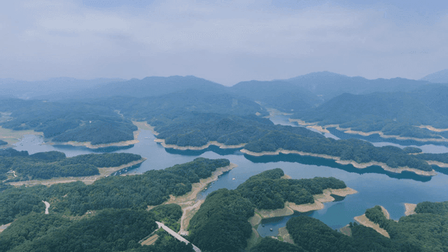 호수와 숲이 있는 광활한 풍경