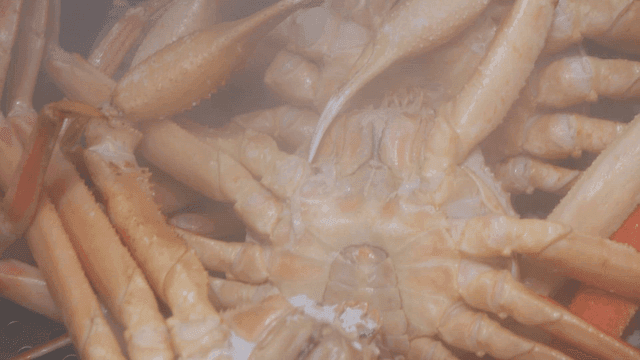 Steamed snow crab in steaming pot