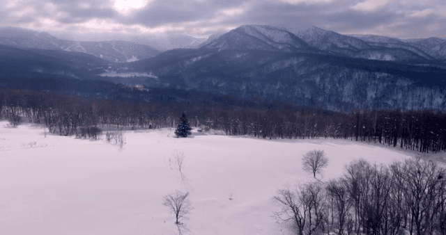눈 덮인 산과 숲