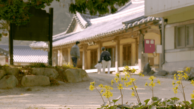 Young child and his parents arrive at traditional Korean house in full bloom.
