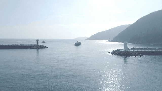 고요한 바다를 항해하는 배