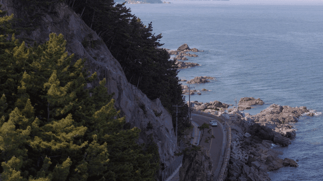 푸른 나무와 바다 전망의 해안 도로