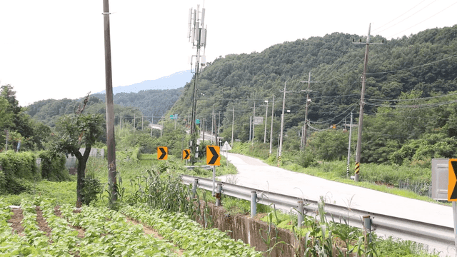 Winding road across green mountains