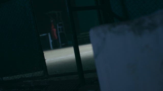 밤에 밖으로 달려나가는 개