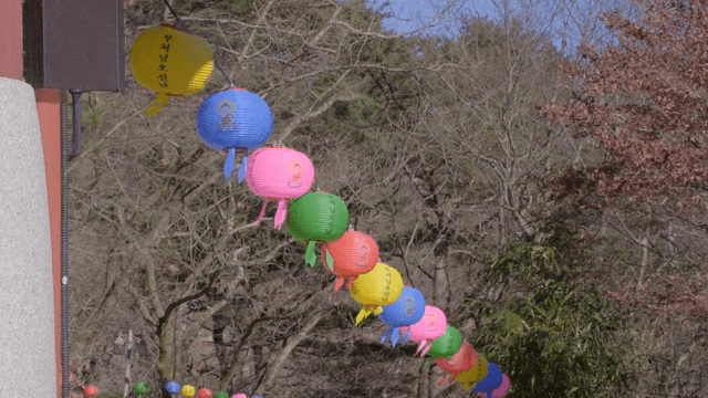 Colorful lanterns hanging in a temple garden