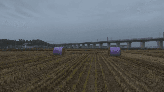 Haystacks in field under bridge