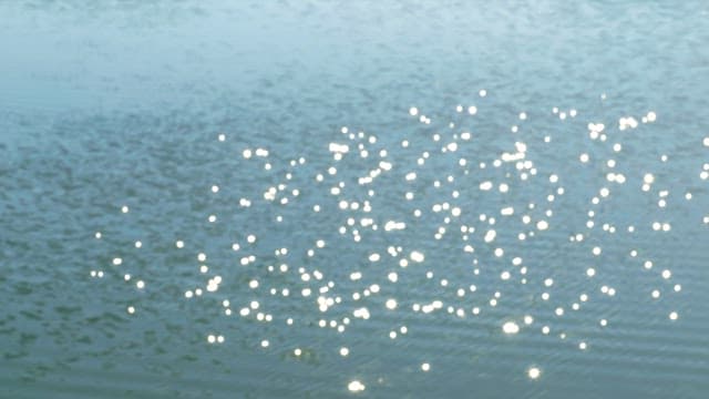 Sunlight reflecting and sparkling on calm water surface