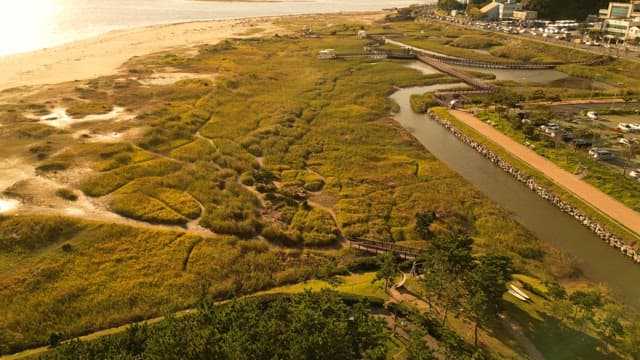 Vast grassland with long boardwalk