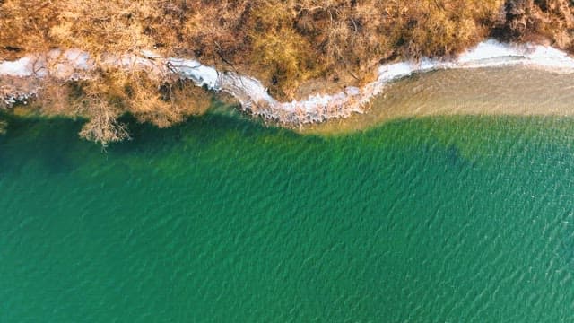 찰랑이는 강물과 나무 너머로 보이는 도시 경관