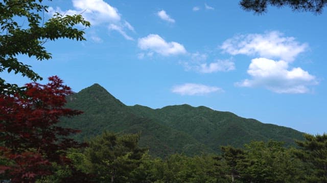 Sunny Day with Lush Green Mountains