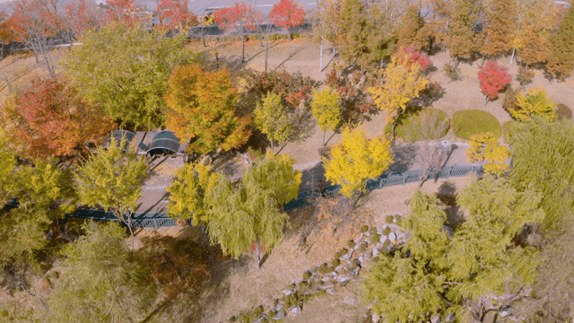 A park with colorful autumn trees