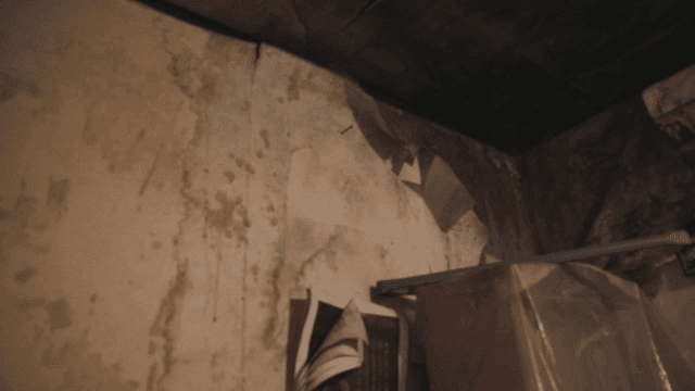 벽지가 벗겨진 오래된 벽