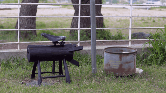 Wooden sculpture with a bicycle seat in a grassy area