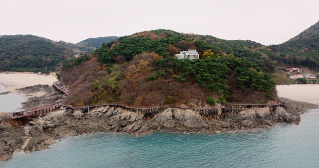 평화로운 바위 해안선과 산책로