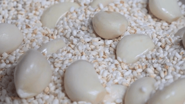 쌀과 함께 볶는 마늘