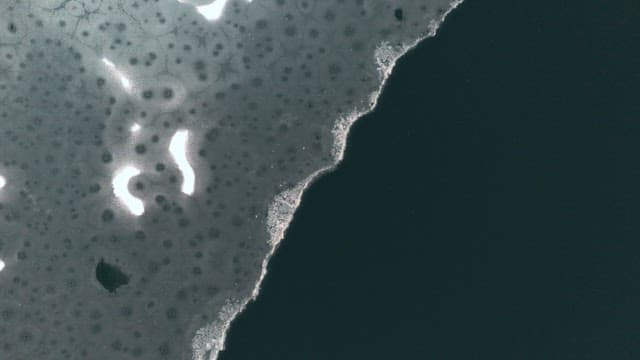 살얼음이 낀 강의 풍경