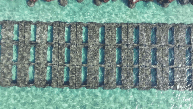 Clear turquoise sea with breakwater