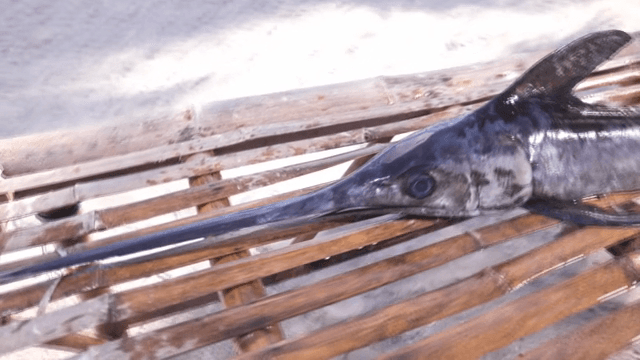 해변의 대나무 테이블 위의 황새치