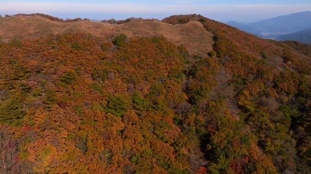 Autumn Foliage Covering Mountain Landscape