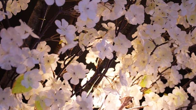 인테리어를 화사하게 만드는 벚꽃 장식