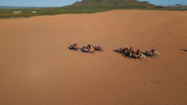 Camel procession crossing a vast desert